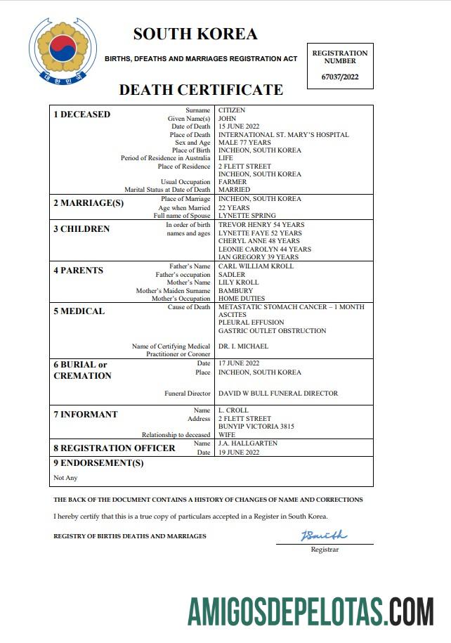 Realista modelo Word e PDF de certidão de óbito de registro vital da Coreia do Sul
